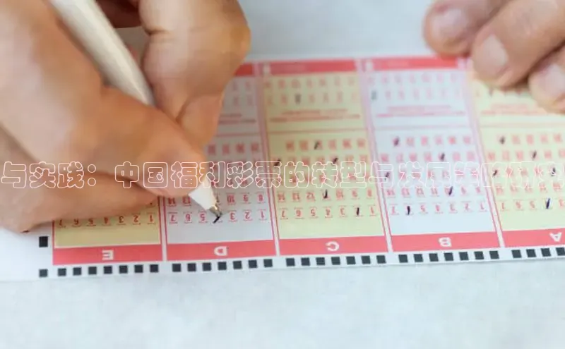 与实践：中国福利彩票的转型与发展策略研究